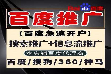 成功案例解析：SEM竞价托管的优化之路